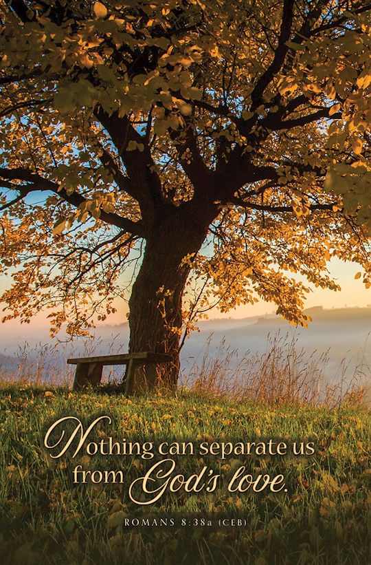 370596 Nothing Can Separate Us From Gods Love Romans 8.38 CEB Bulletin