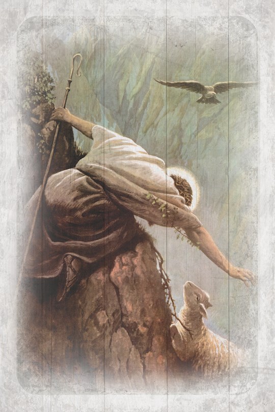 36405X Plaque - Inspirational - The Lost Sheep - 6 x 9 in.