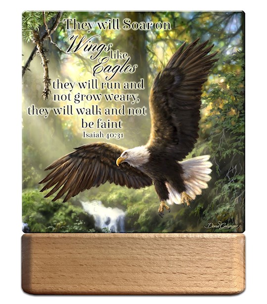 Glow Decor 350368 Night Light & Plaque - LED - Eagles Flight with Scripture - 7 in.