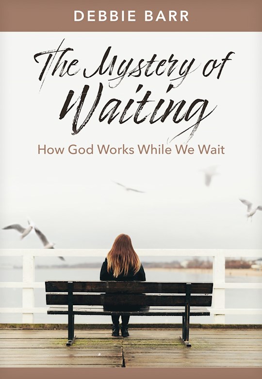 359941 The Mystery of Waiting Book