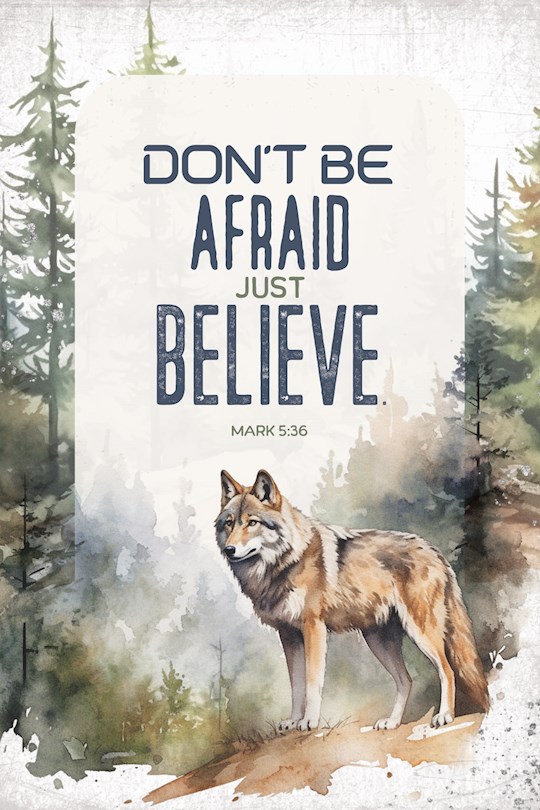 344867 Wall Plaque - Mini Blessings - Dont Be Afraid - 4 x 6 in.