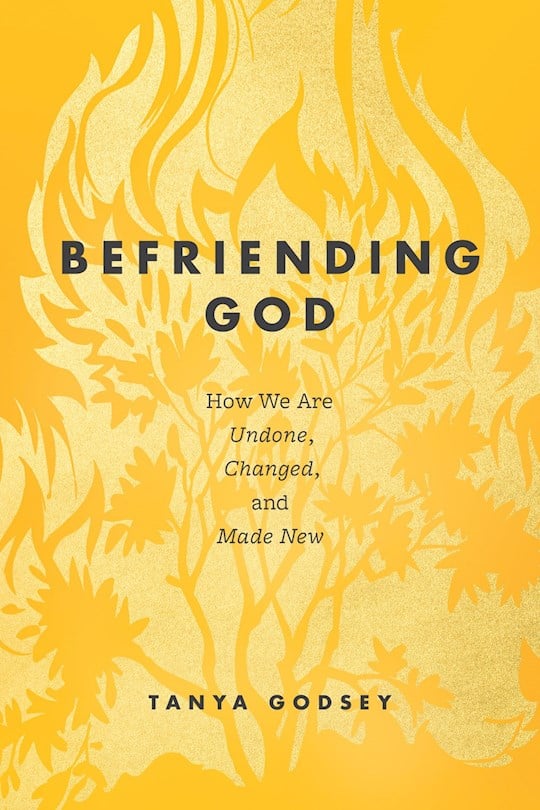371298 Befriending God Book