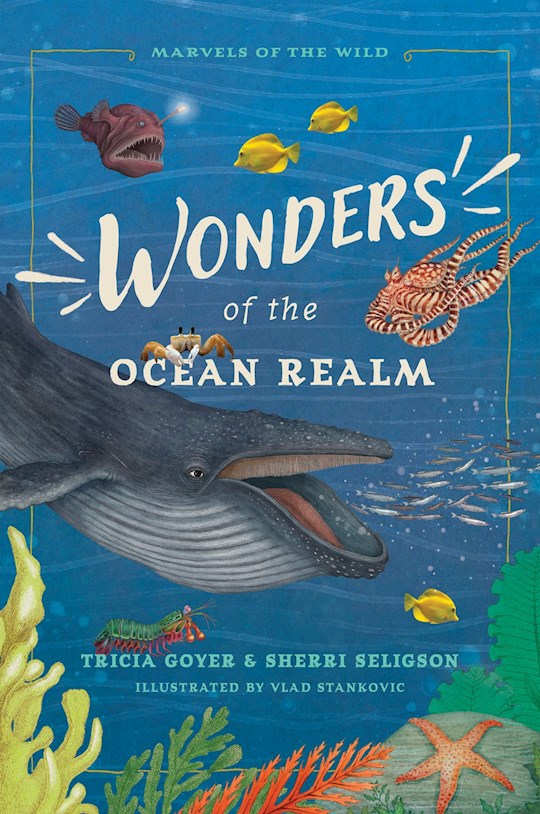 371385 Wonders of The Ocean Realm Book