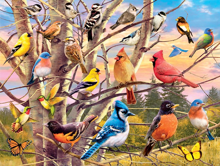 Crown Point Graphics 376242 Soft Touch Jigsaw Puzzle - Birds & Tree with Poster - 500 Piece