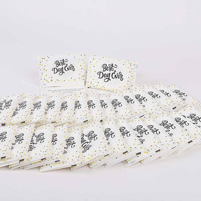368660 Tissue Pack - Pocket Best Day Ever - Psalm 118-24 - Pack of 30