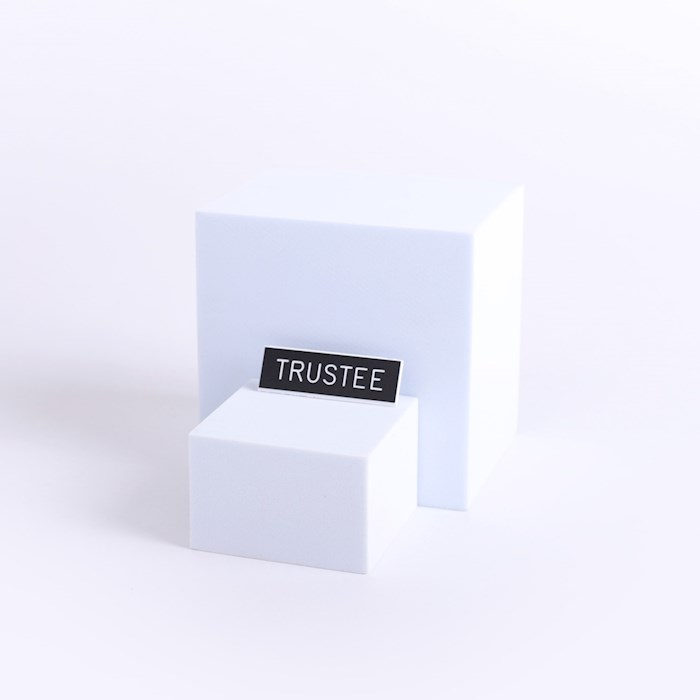 408175 Plastic Trustee Pin Back decal - 0.625 x 2 in.