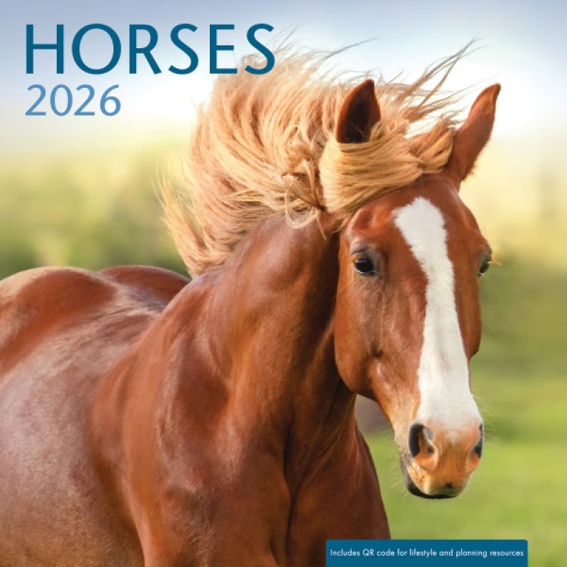 452222 2026 Wall Calendar - Brown Horses