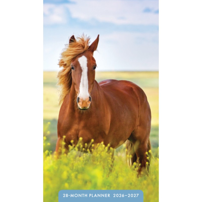 452247 2026 Horses 28 Month Planner