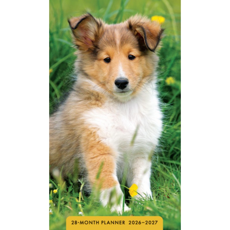 452249 2026 Puppies 28 Month Planner