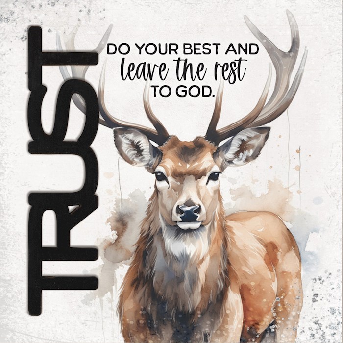 47035X Magnet - Crafted Remindables - Trust - Do Your Best - 3.5 in.