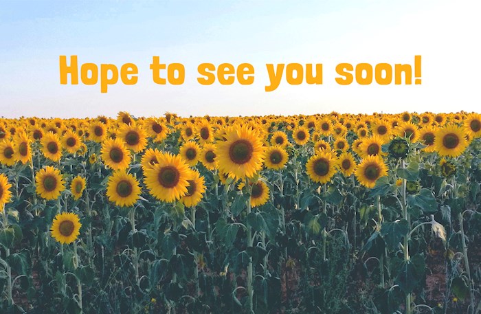 377202 Visitor Postcard - Hope To See You Soon - Romans 5-1, KJV - Pack of 25