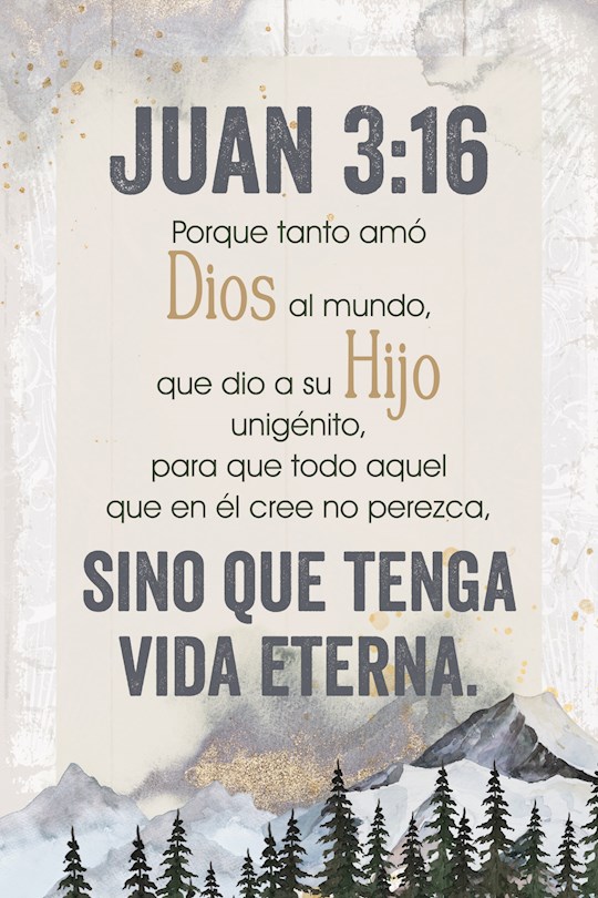 470455 Spanish Plaque - John 3-16 - Juan 3-16 - 4 x 6 in.