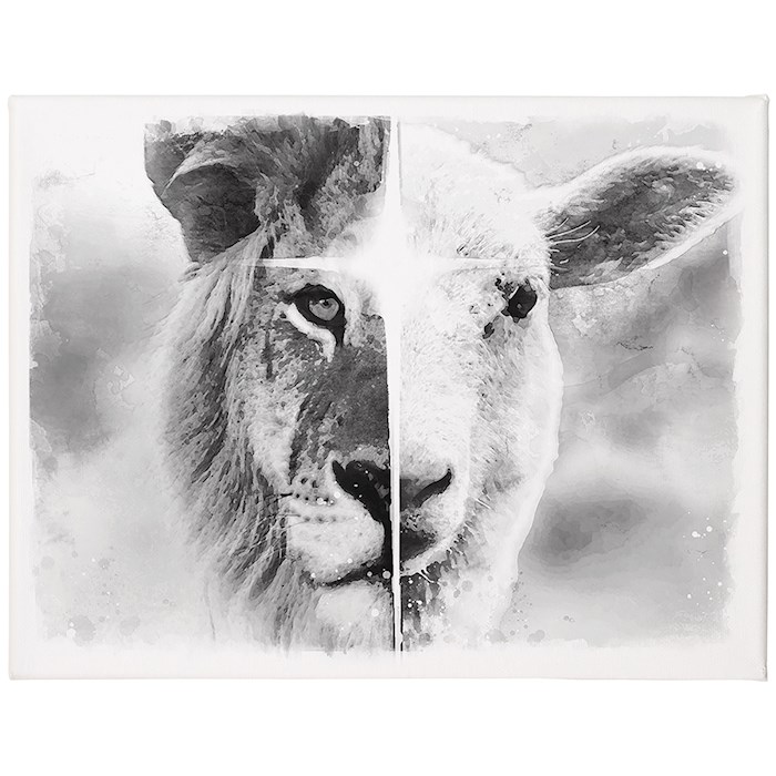 47052X Lion & Lamb Wrapped Canvas, Black & White - 12 x 9 in.