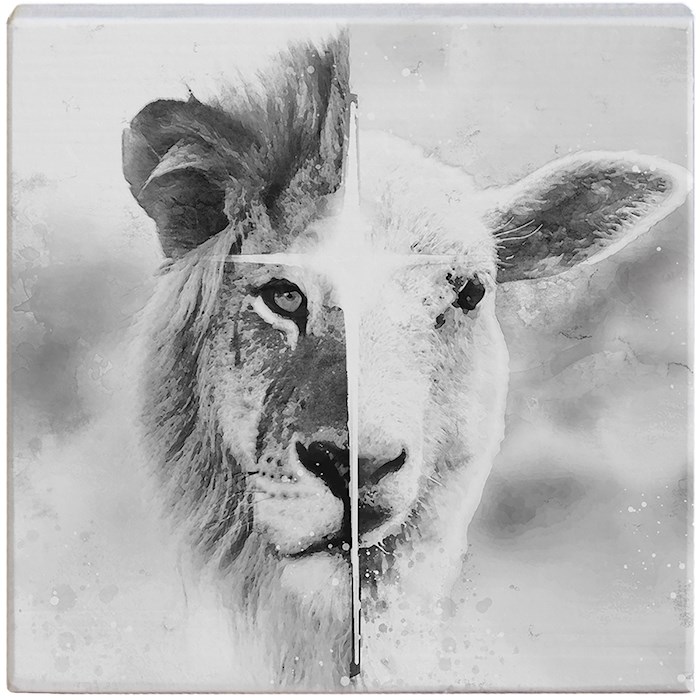 47055X Small Talking Square - Lion & Lamb - Black & White - 5.25 x 5.25 in.