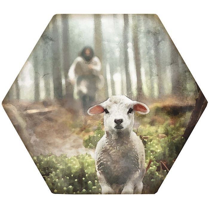 470579 Coaster - Honeycomb - Jesus Rescuing Lamb - 4.5 x 3.785 in.
