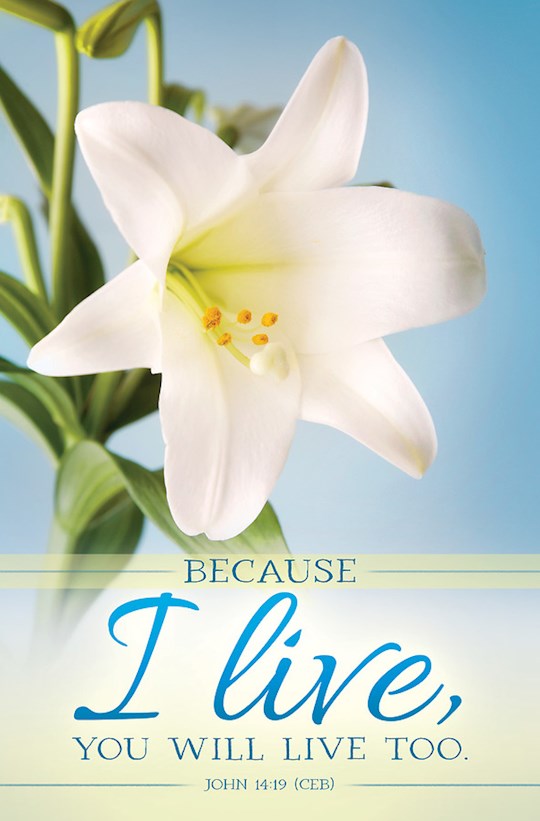 469574 Bulletin - Because I Live & Easter Lilys - John 14-19 - Pack of 100