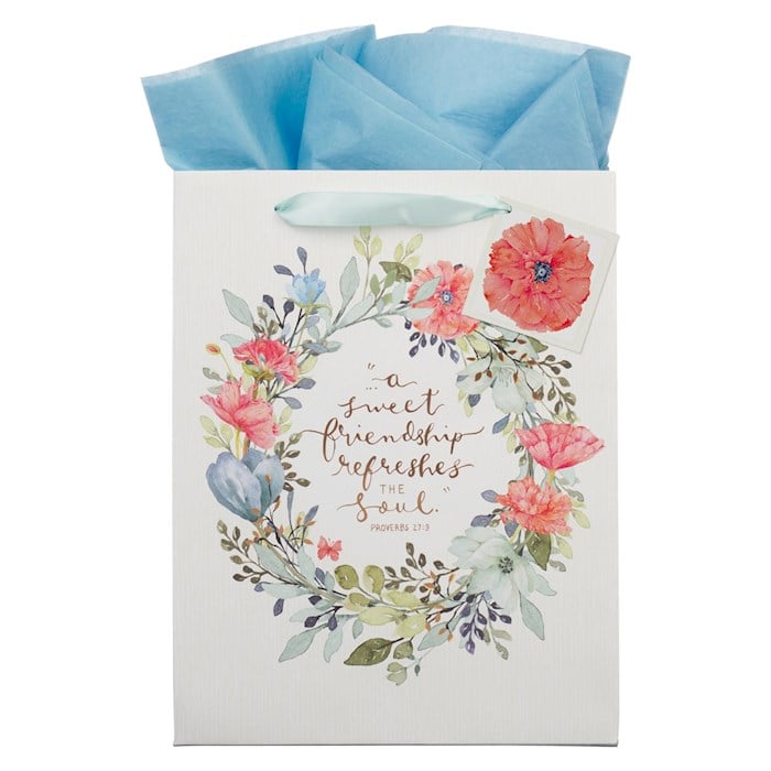 47224X Gift Bag - Large - Sweet Friendship