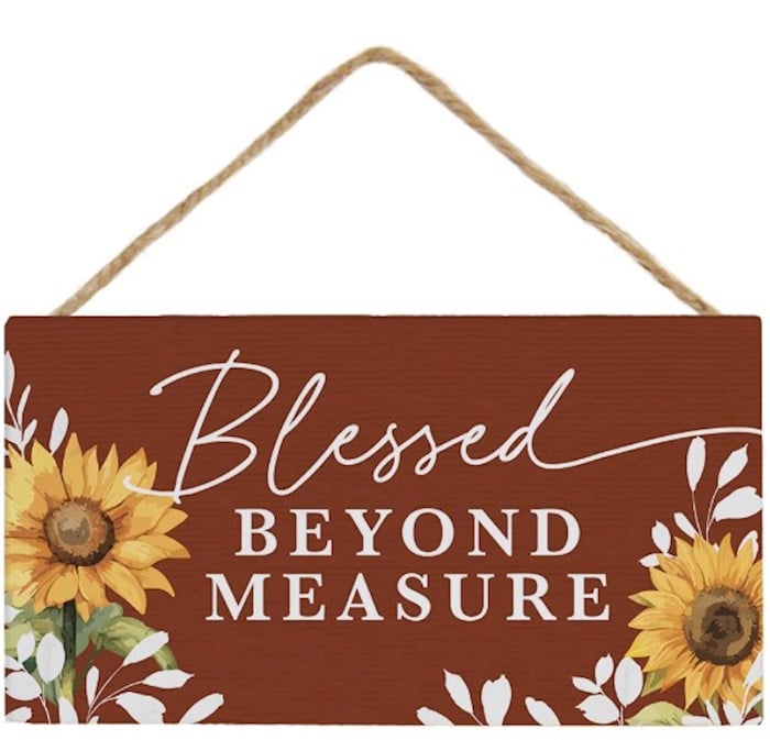 41335X Petite Hanging Accent - Blessed Beyond Measure - 6.5 x 5.5 in.