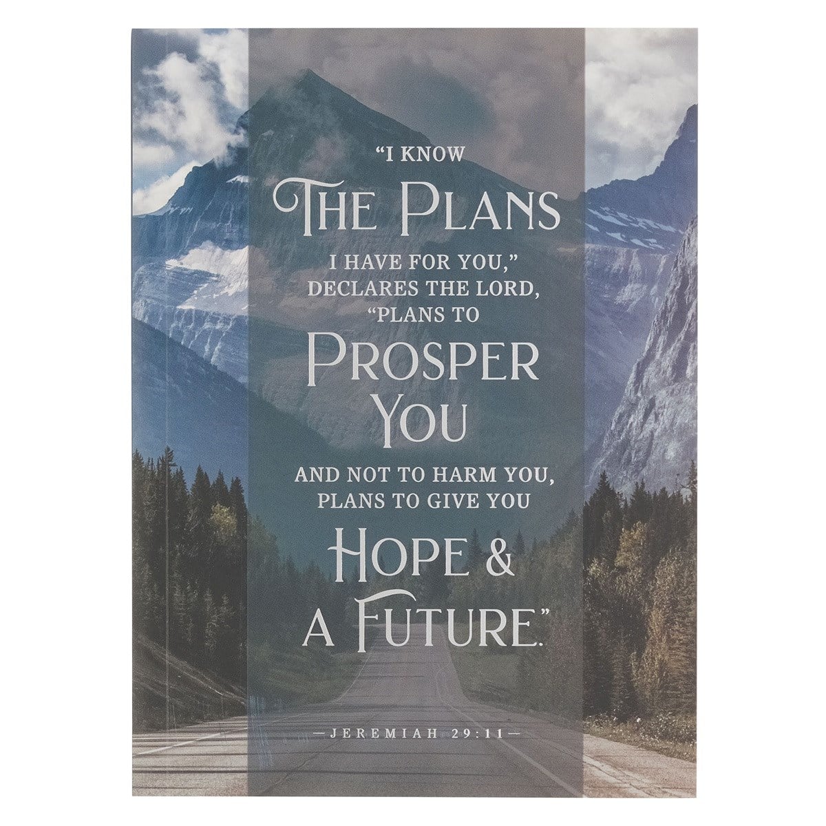 472209 Notebook - I Know the Plans - Medium