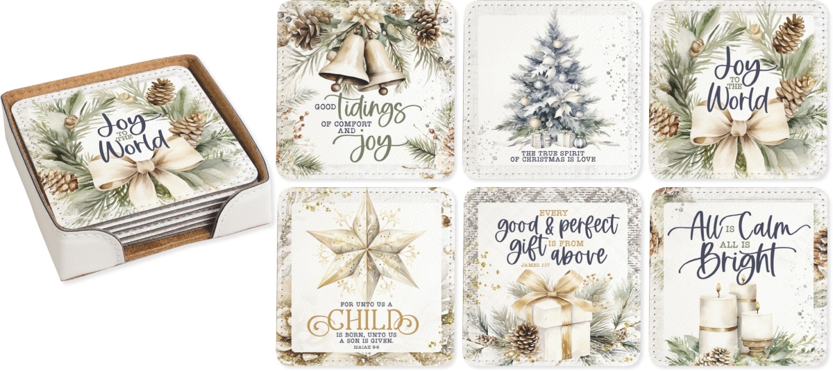 Picture of Dexsa 470383 Coaster Set - Winter White Assorted - Set of 6