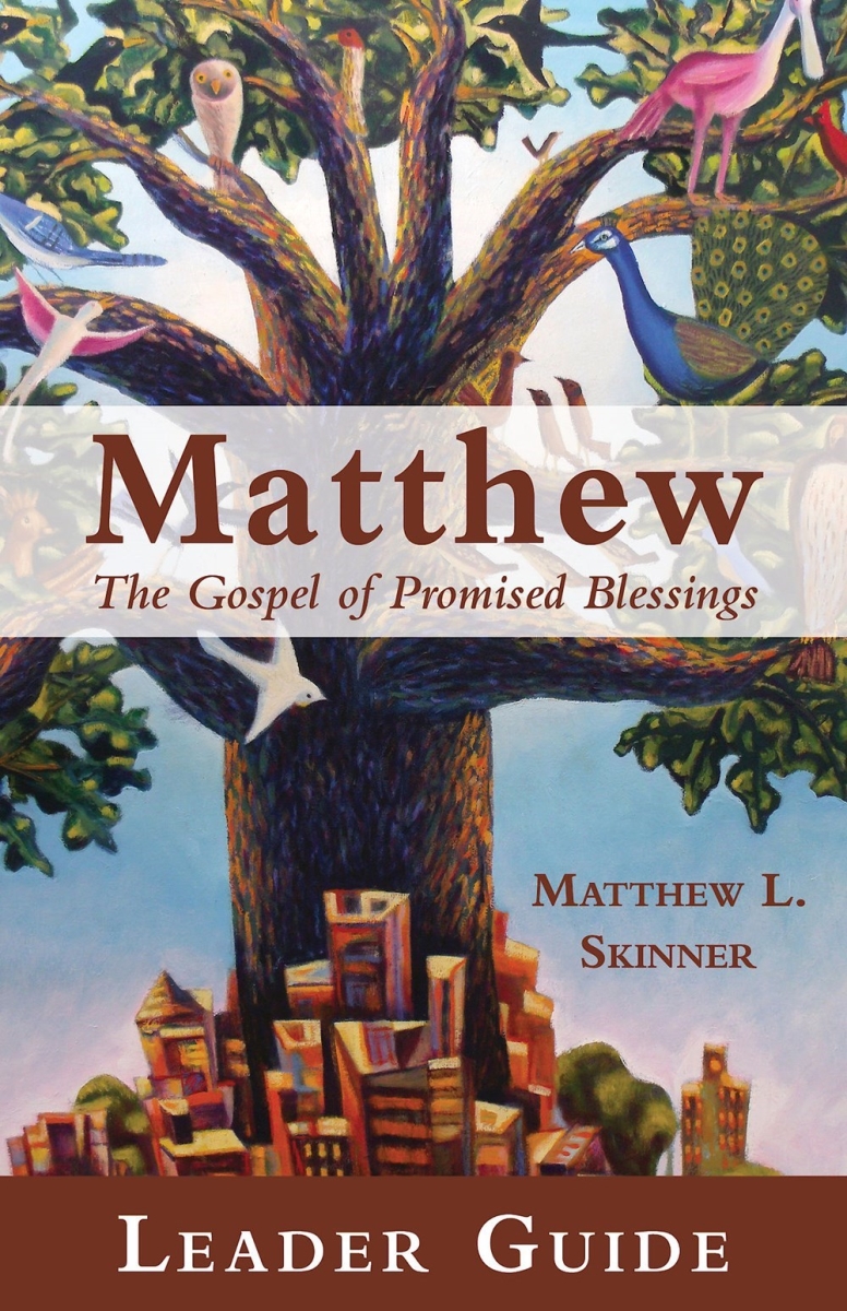 36388X Matthew Leader Guide Book