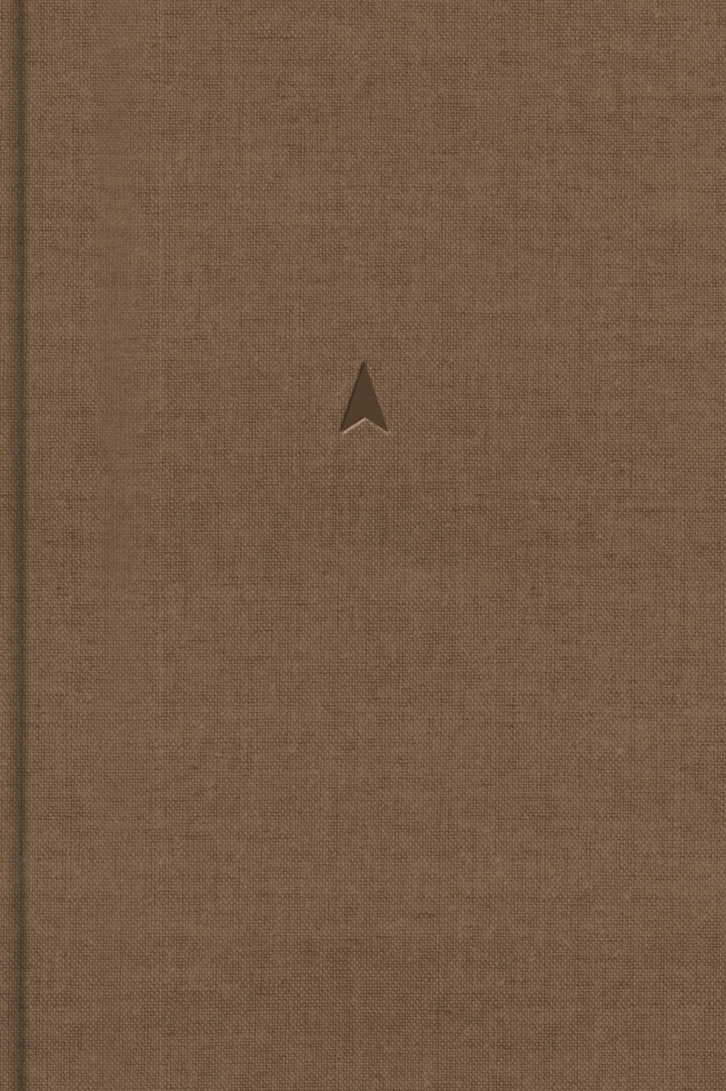 650603 CSB Mens Daily Bible - Brown Cloth Over Board