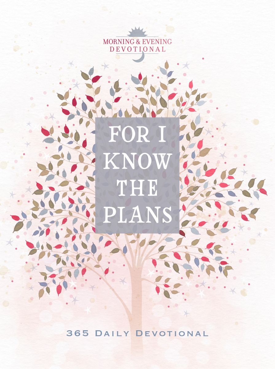 Broadstreet Publishing Group 358605 For I Know The Plans Book
