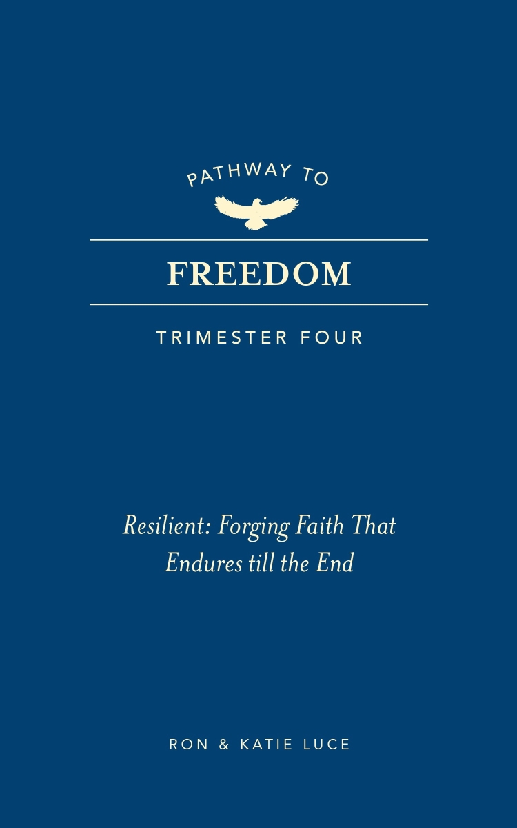479586 Pathway to Freedom - Trimester Four Book