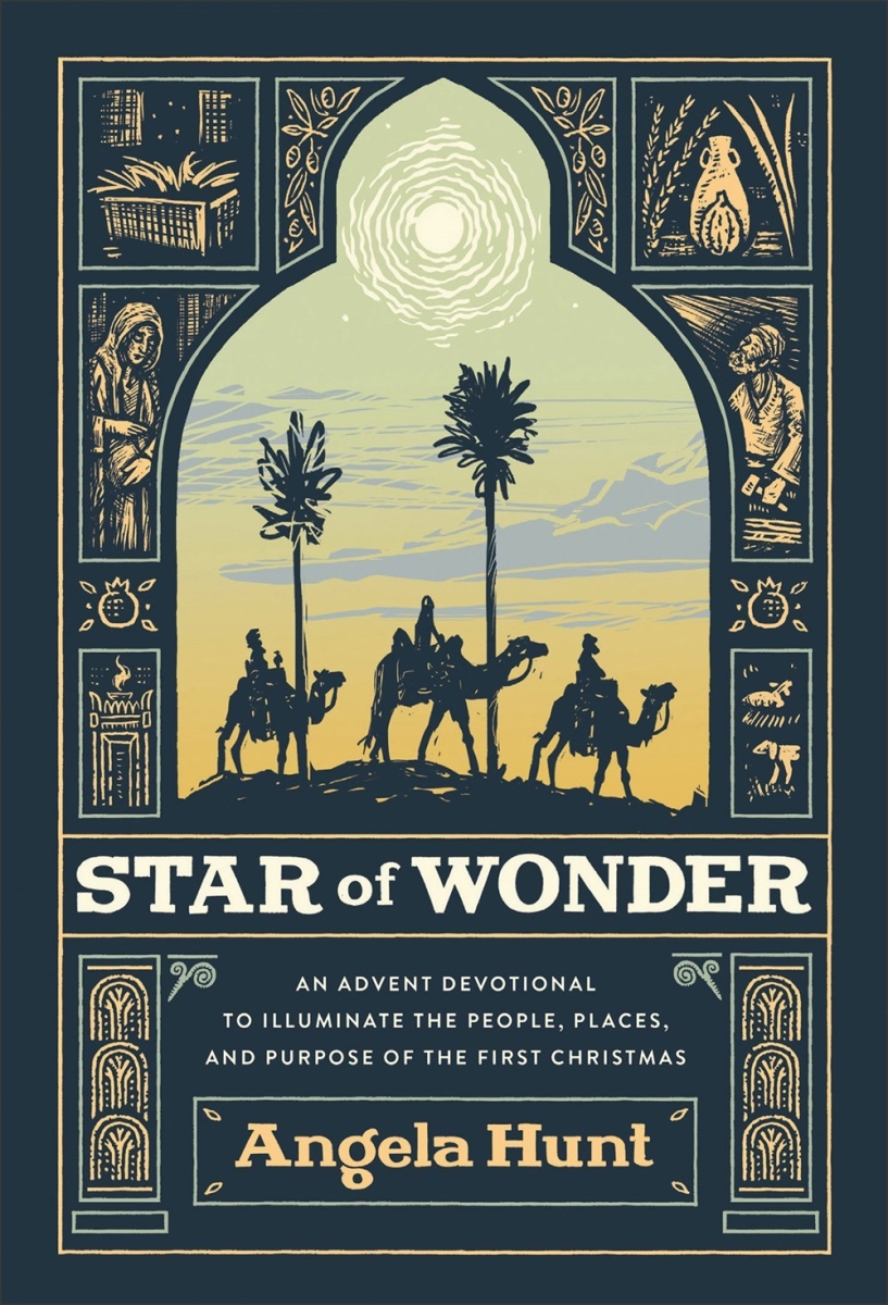 Baker Publishing Group 299771 Star of Wonder Book