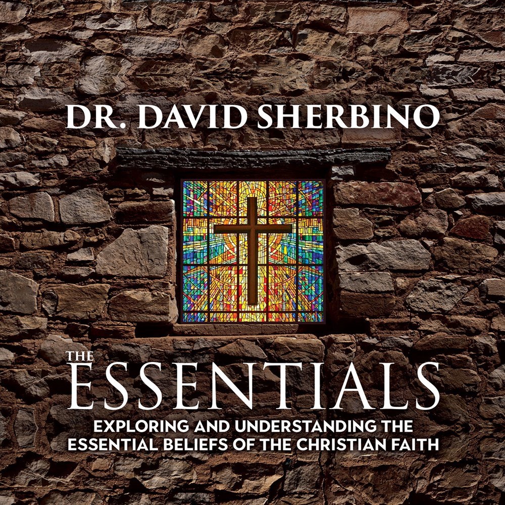 382879 The Essentials Book