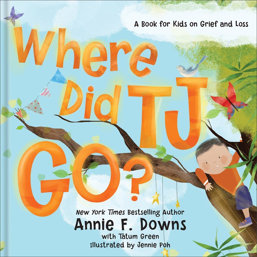 Baker Publishing Group 342759 Where Did TJ Go Book