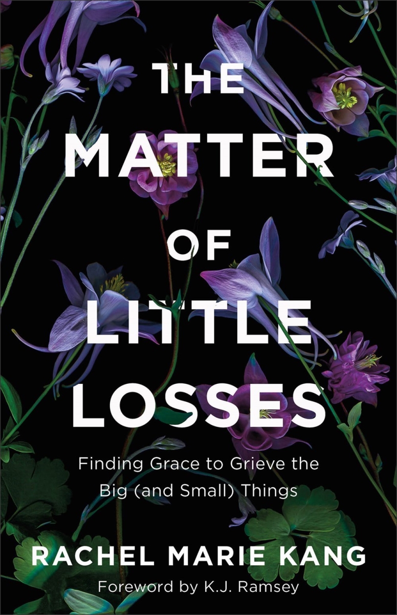 Baker Publishing Group 34675X The Matter of Little Losses Book