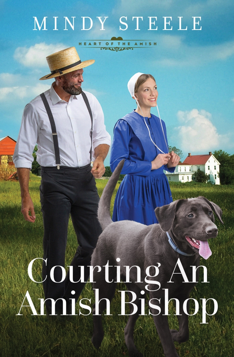 Barbour Publishing 34329X Courting An Amish Bishop Book