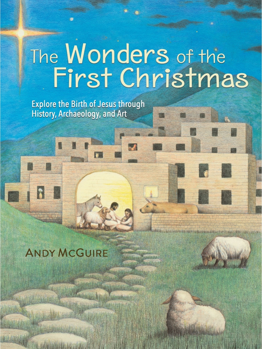 377885 The Wonders of The First Christmas Book