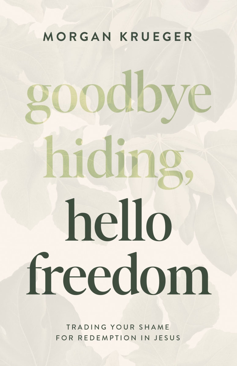 379768 Goodbye Hiding Hello Freedom Book
