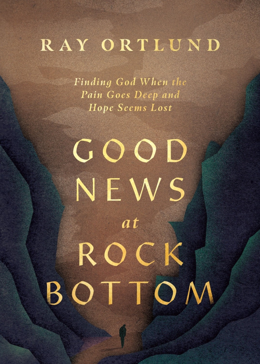 348418 Good s At Rock Bottom Book