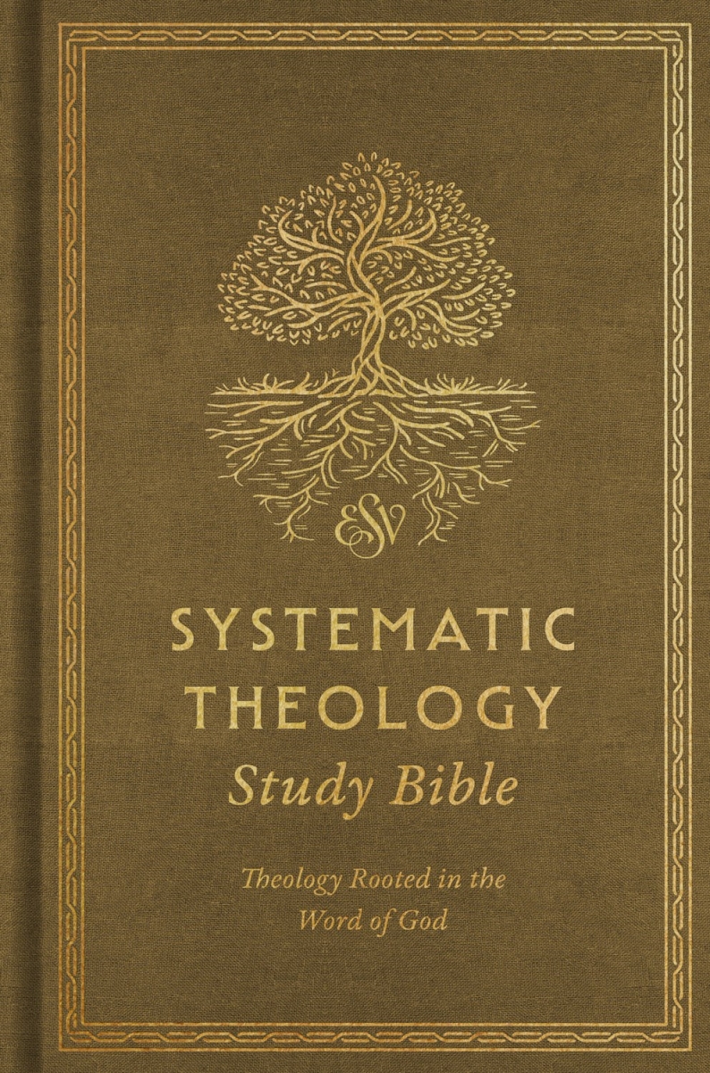 409103 ESV Systematic Theology Study Bible, Ochre Cloth over Board