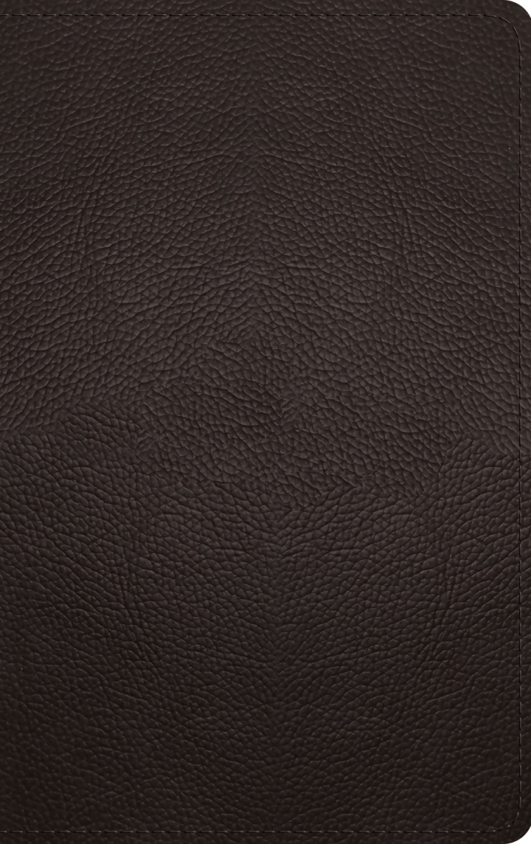 471168 ESV Thinline Bible - Rl - Deep Brown Buffalo Leather