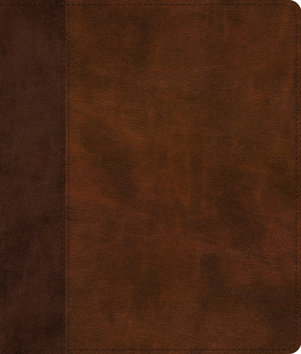 732245 ESV Journaling Bible with Brown & Tan Timeless Design TruTone