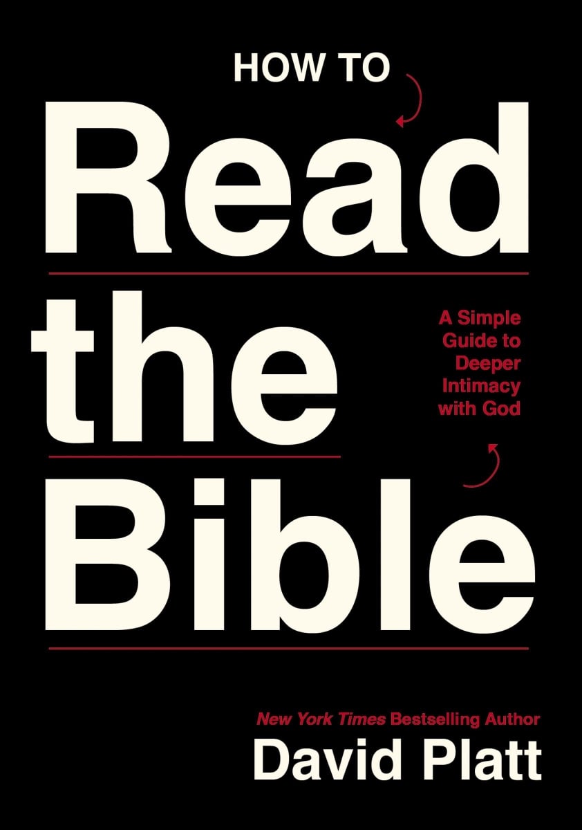 Nelson & Nelson Books 479776 How to Read The Bible