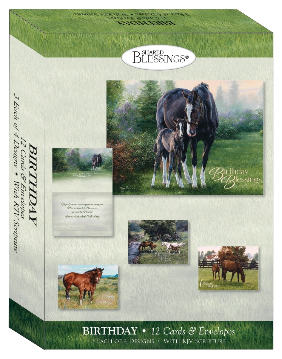 Crown Point Graphics 221627 Boxed Card - Birthday Beginnings - Shared Blessings - Box of 12