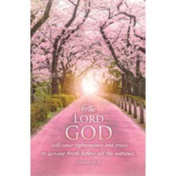 46074X Bulletin - The Lord Will Cause Righteousness Isaiah 61-11 KJV - Pack of 100
