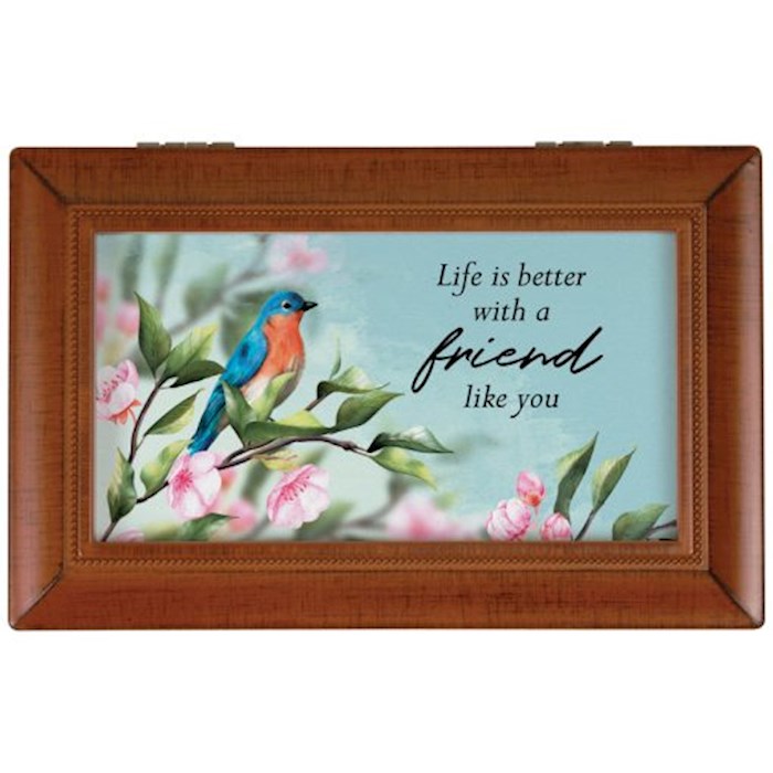 350402 6 x 4 in. Friend Like You Amazing Grace Music Box