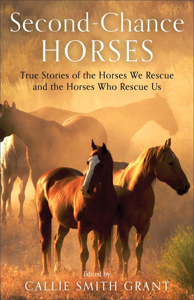 Baker Publishing Group 299765 Second - Chance Horses Book