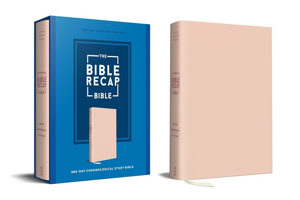 Baker Publishing Group 356085 ESV The Bible Recap 365-Day Chronological Study Bible - Pink Imitation Leather