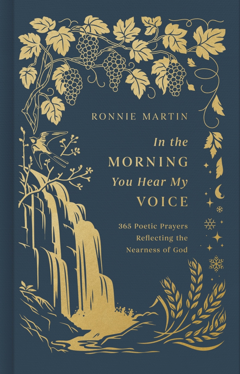 462070 in The Morning You Hear My Voice Book