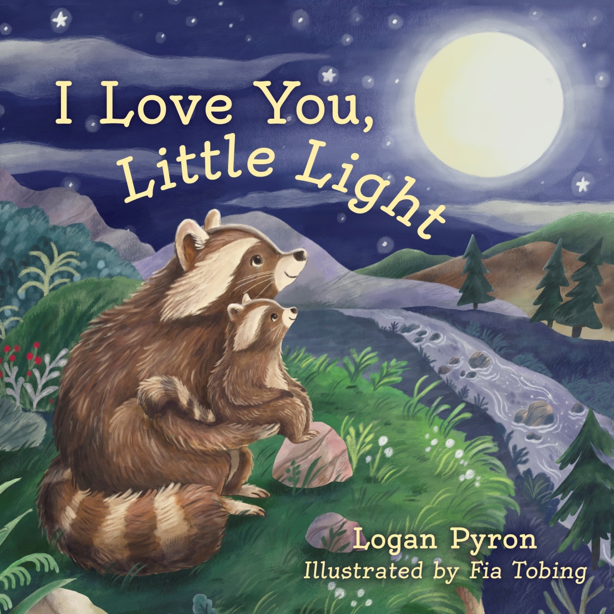 650639 I Love You Little Light Book