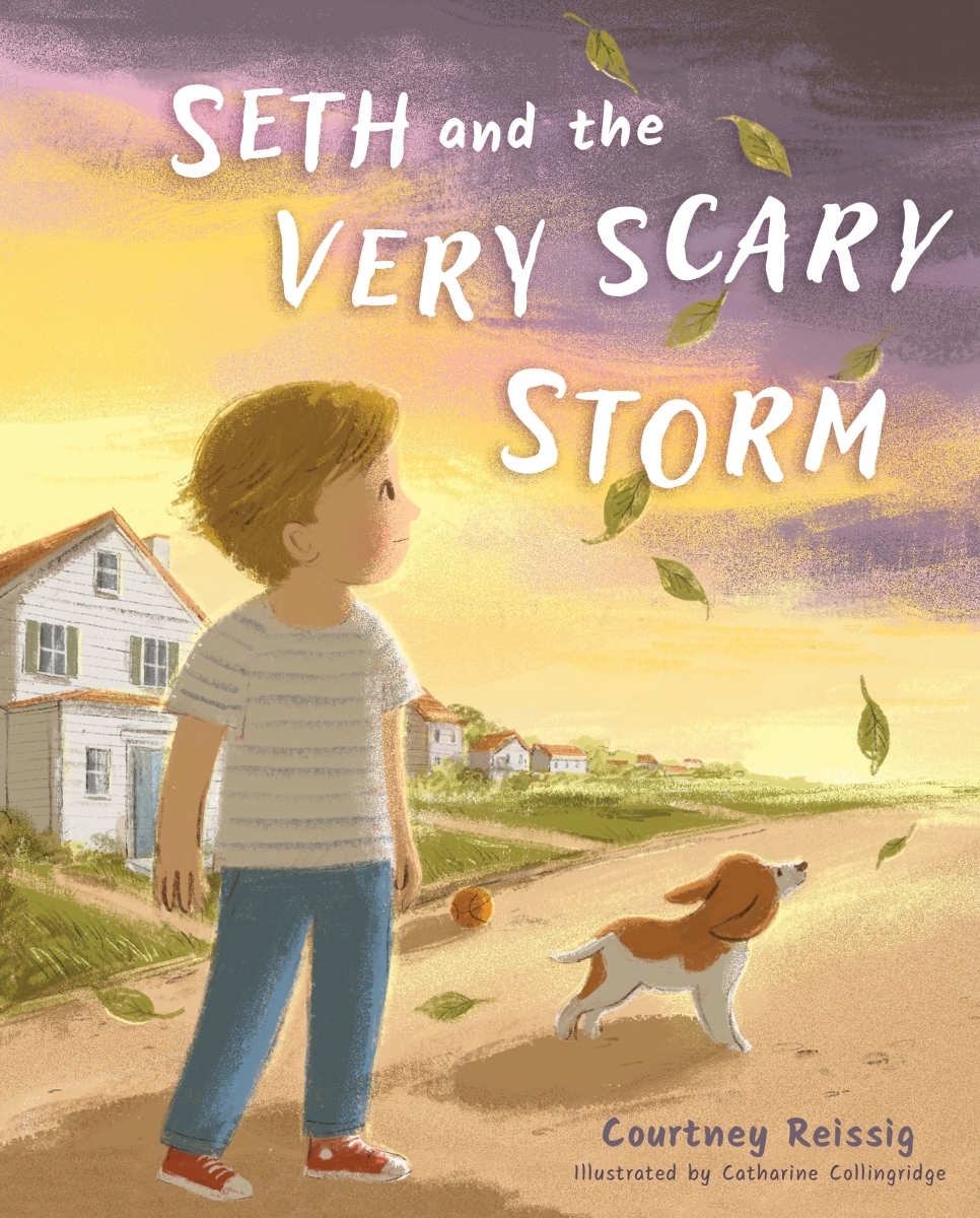 41292X Seth & The Very Scary Storm Book