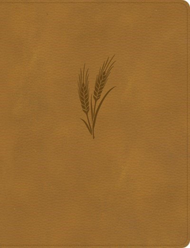340706 KJV Notetaking Bible & Large Print Edition - Camel LeatherTouch