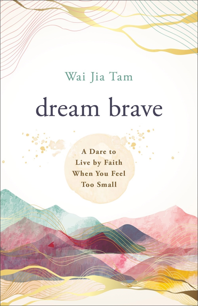 Baker Publishing Group 34620X Dream Brave Book